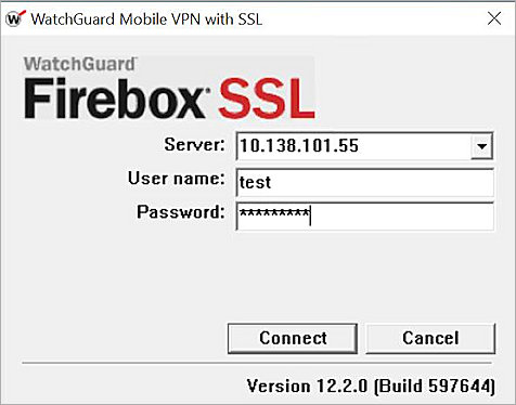Mobile VPN witth SSL connection box